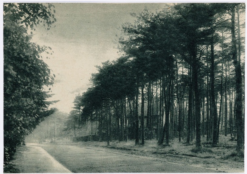 westtangent 2 afbeelding 2. 01443.tjp - kopie.jpg