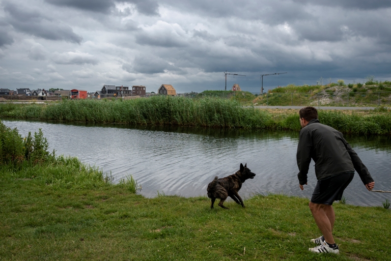spelende hond bij de laak vathorst